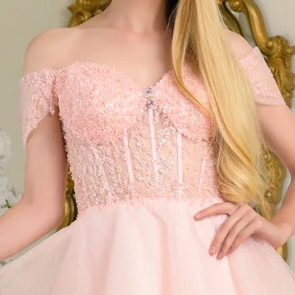 New Off Shoulder Short Fashion Forward Mesh Dress w/ Sheer Boned Bodice GS3684 - Picture 5 of 9